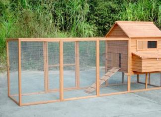 The simplest chicken coop at the dacha with your own hands Build a chicken coop at the dacha