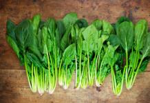 Рецепти салатів із шпинатом