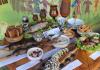 Daruri din bucătăria siberiană Progresul lucrărilor privind cercetarea