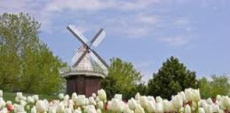 Ancient windmills in the village of Kinderdijk (Netherlands)