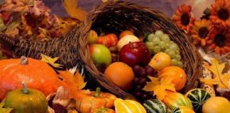 Сезонни продукти.  Есента.  Семена от дървета и храсти: време за събиране и правила за съхранение Какви плодове се берат през септември