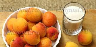 Рецепт з покроковими фото того, як консервувати абрикоси часточками в сиропі на зиму в домашніх умовах