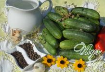 Recipe for the most delicious canned cucumbers for the winter