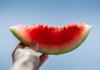 Cara memilih semangka yang matang dan enak Cara mengidentifikasi semangka matang di petak melon