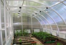 Ako postaviť skleník na pestovanie zeleniny v zime vlastnými rukami: zariadenie, technológia, kúrenie a recenzie