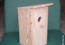 Изработка на къщичка за птици