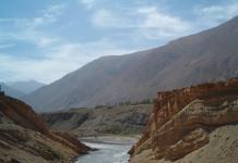 Plantas perenes do Quirguistão: zimbro