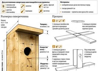Welches Vogelhaus lässt sich besser mit eigenen Händen bauen: klassisch oder ungewöhnlich?