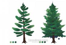 Si të vizatoni lloje të ndryshme pemësh?